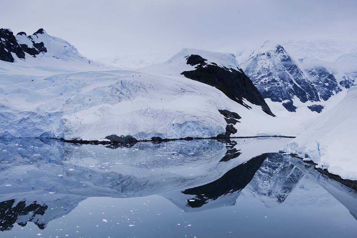Sarah Antarctica