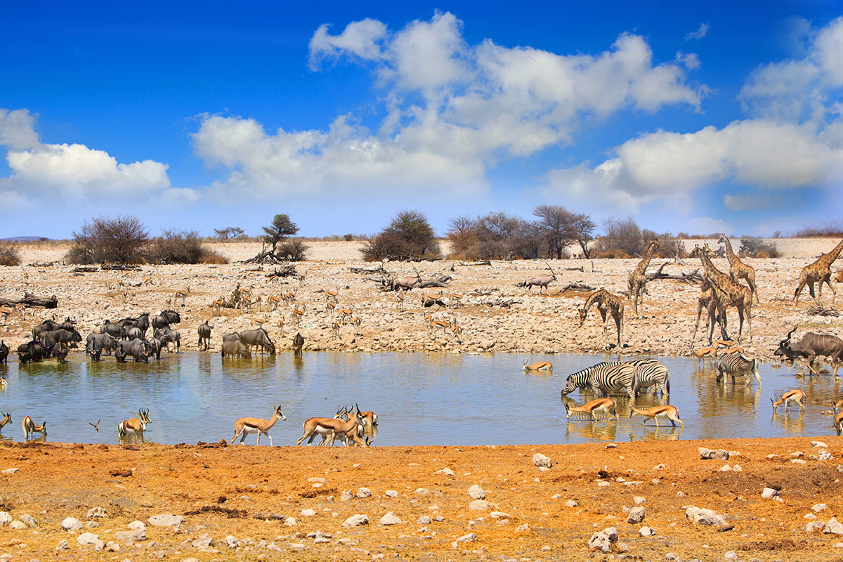 Luxury holiday to Namibia