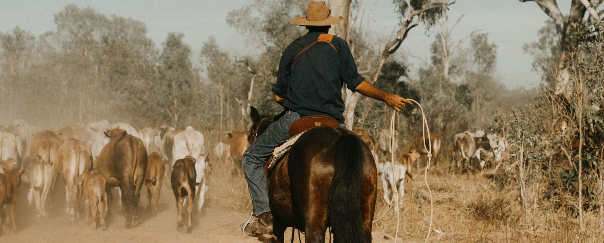 Experiencing Farm Life in the Australian Outback