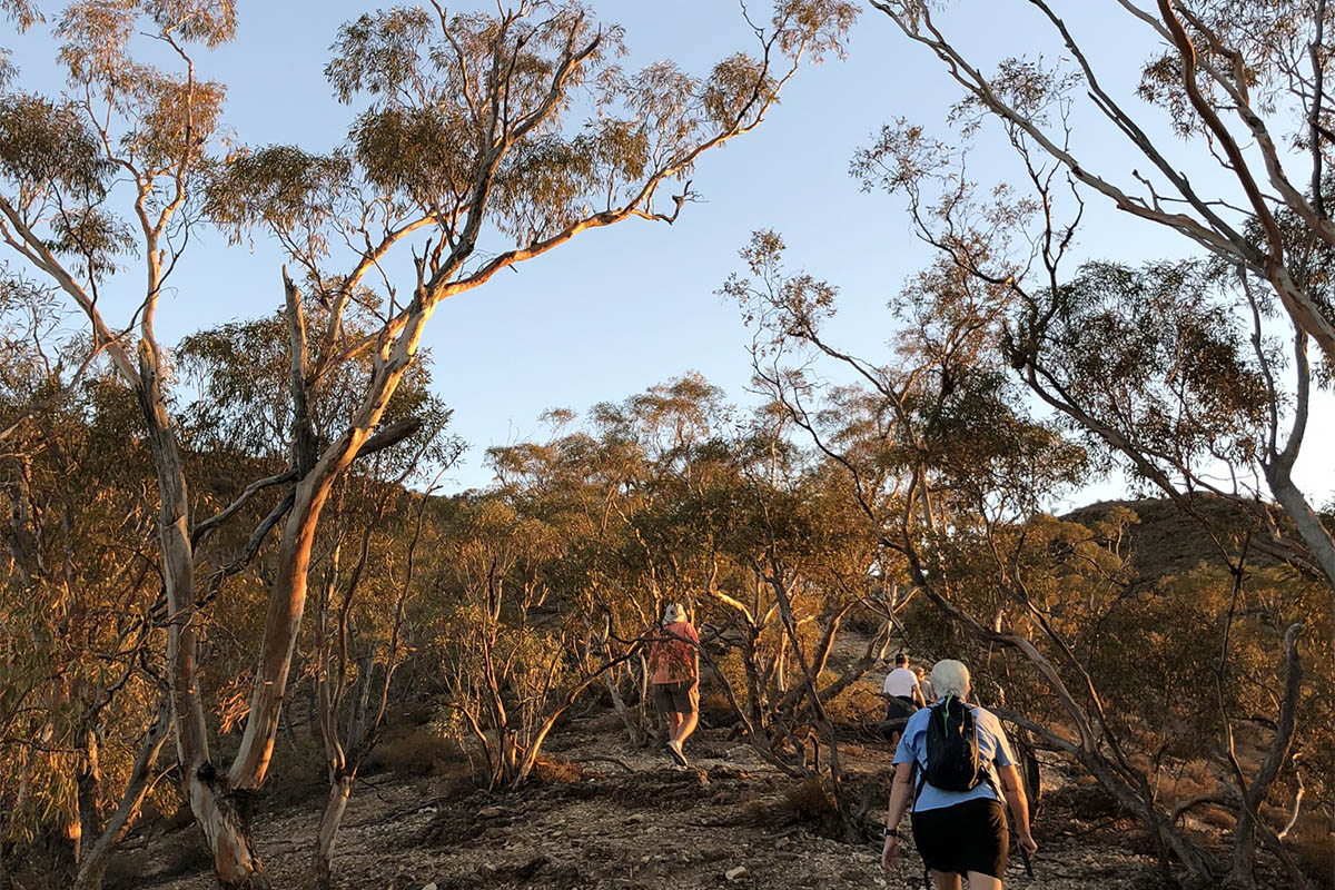 Experiencing the Australian outback