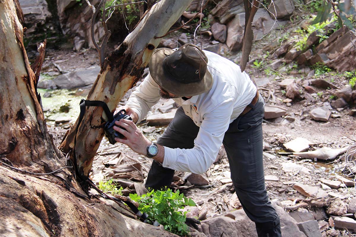 Experiencing the Australian outback at Arkaba Conservancy