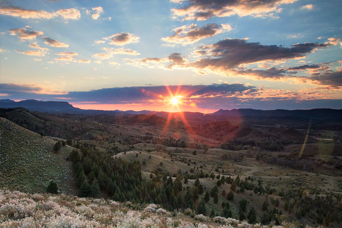 Experiencing the Australian outback