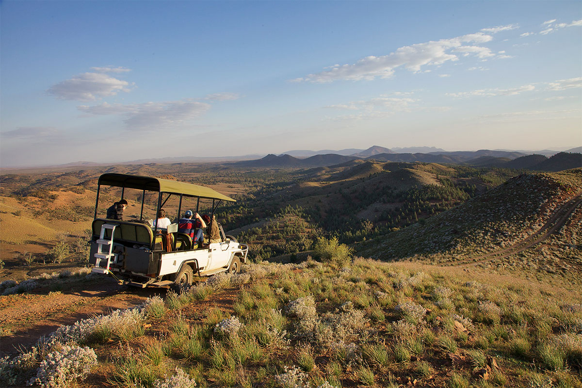 Experiencing the Australian outback at Arkaba Conservancy