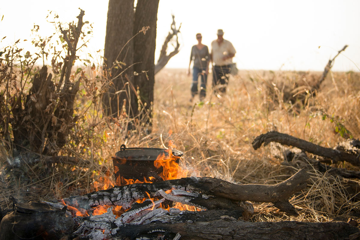 Why should you travel to Tanzania's remote west?