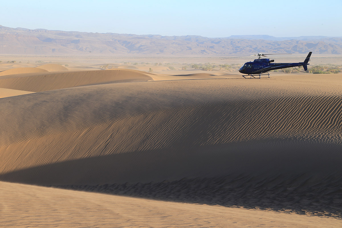 Wild + Exhilarating Safari Experiences
