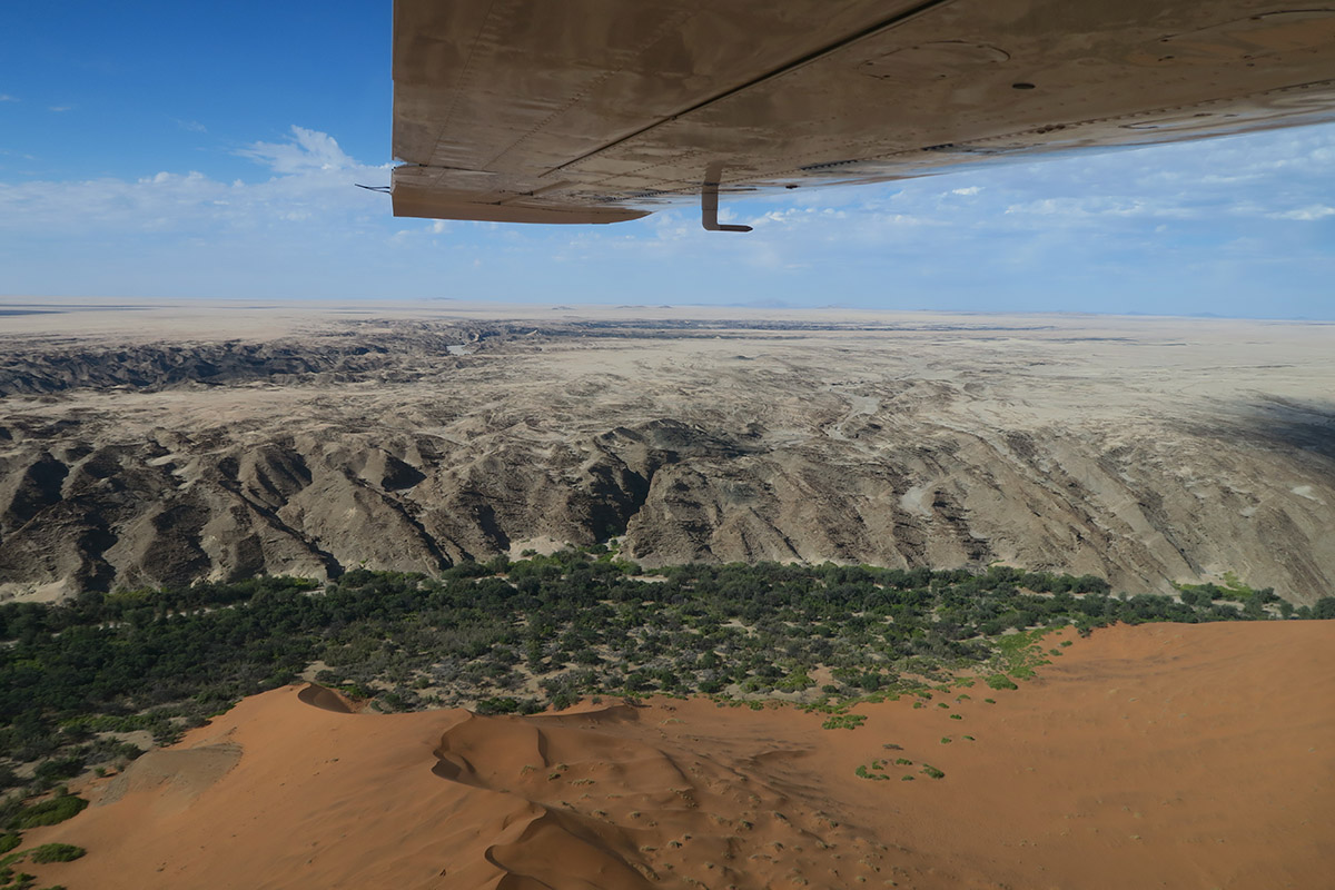Wild + Exhilarating Safari Experiences