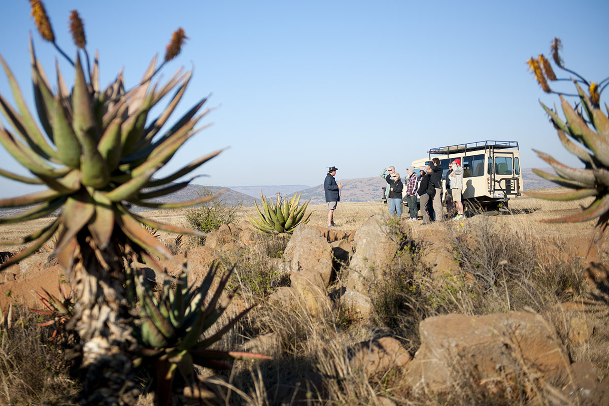 South Africa escorted journeys with cazenove+loyd