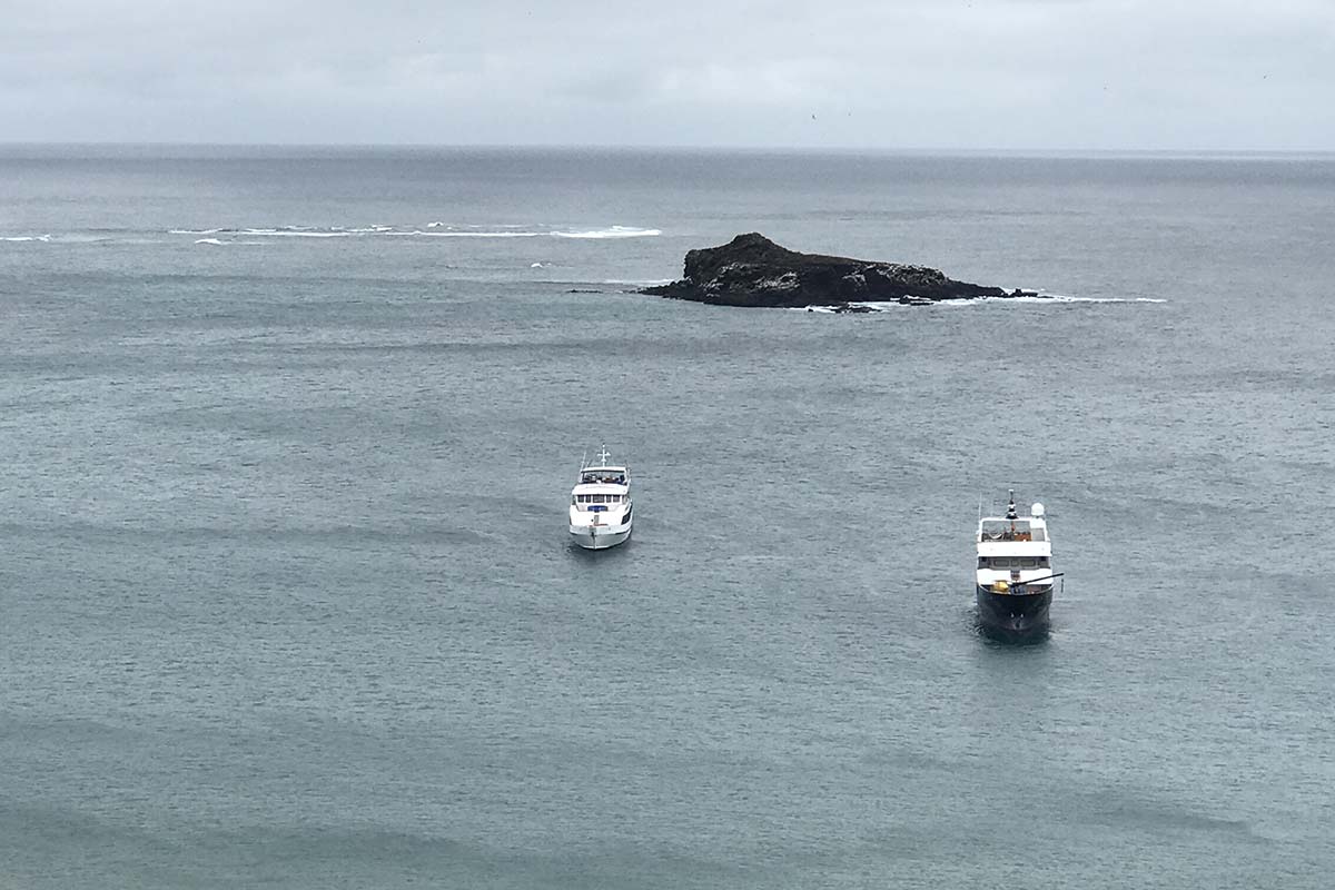 The Galápagos by boat- an eye opener in every way