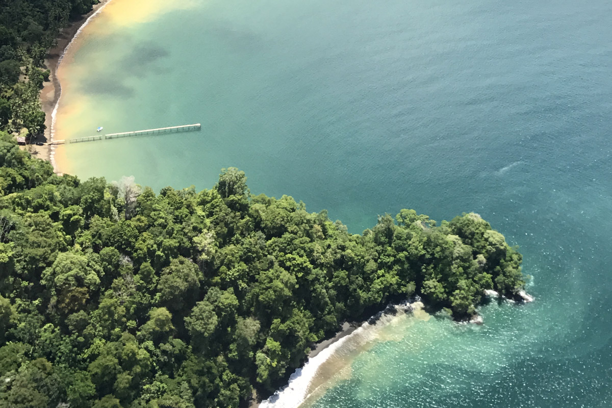 The best places to spot Costa Rica's amazing wildlife