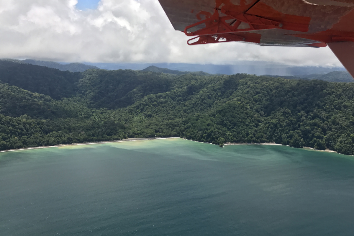 The best places to spot Costa Rica's amazing wildlife