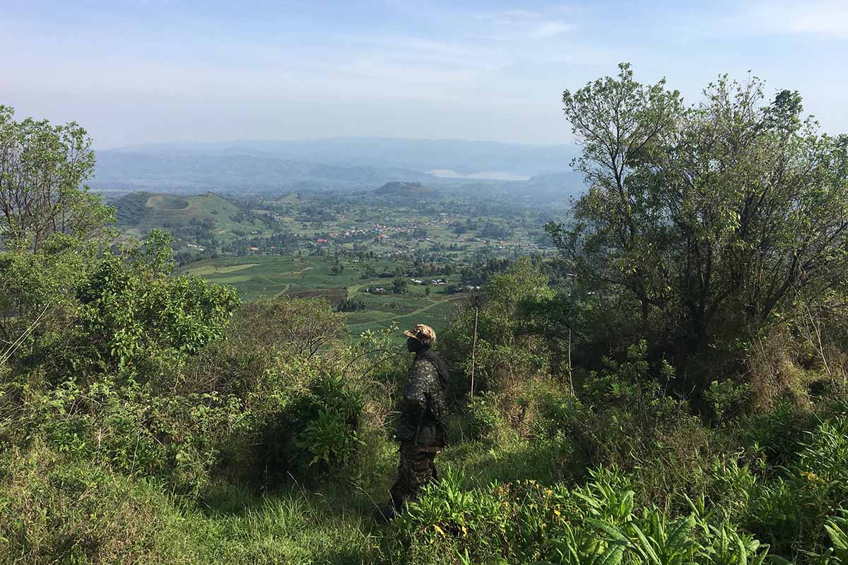 Gorilla Trekking
