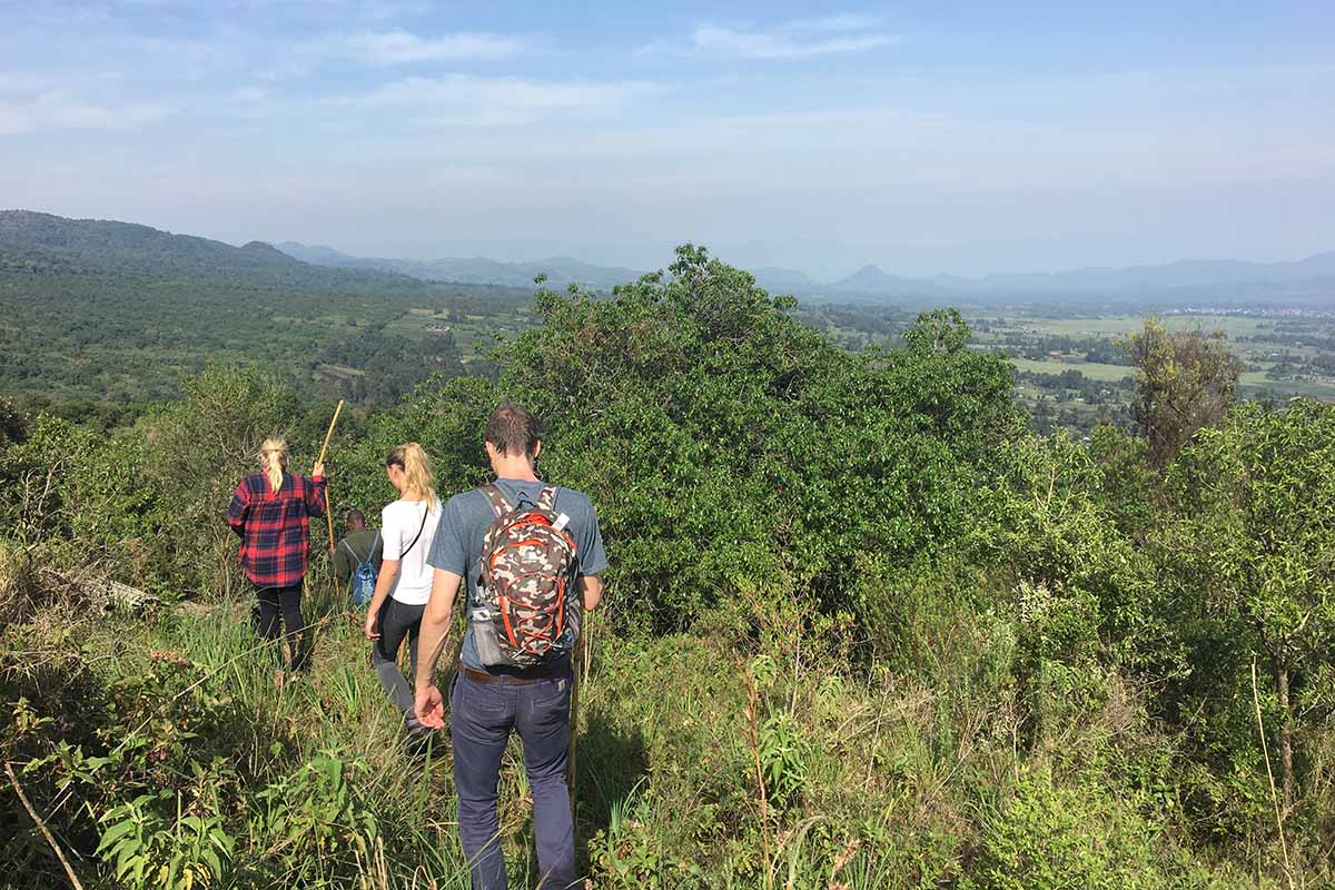 Gorilla Trekking