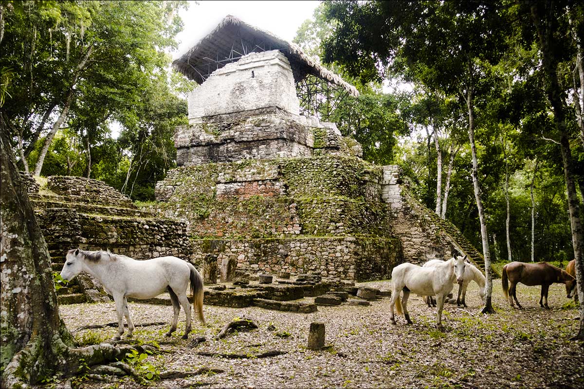 Our experience of Guatemala