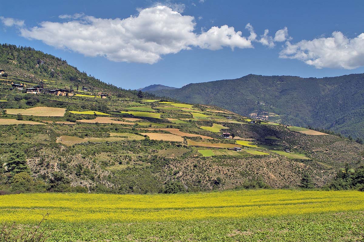 Discovering Haa Valley