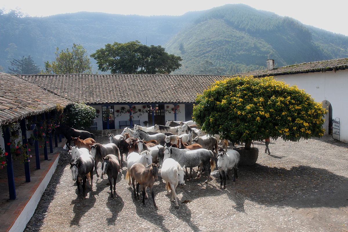 Hacienda Zuleta Ecuador | travel inspiration