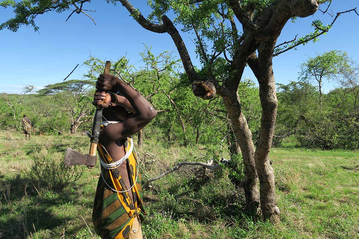 A MORNING WITH THE HADZABE BUSHMEN