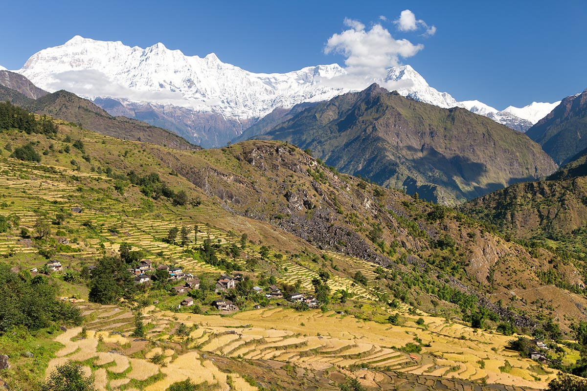 Himalayas Walking