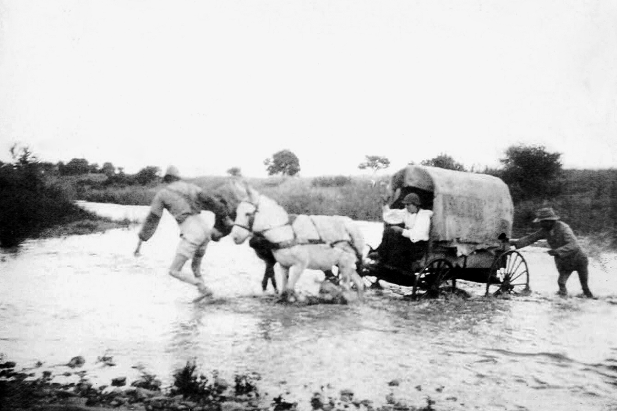 Lessons from Londolozi Game Reserve