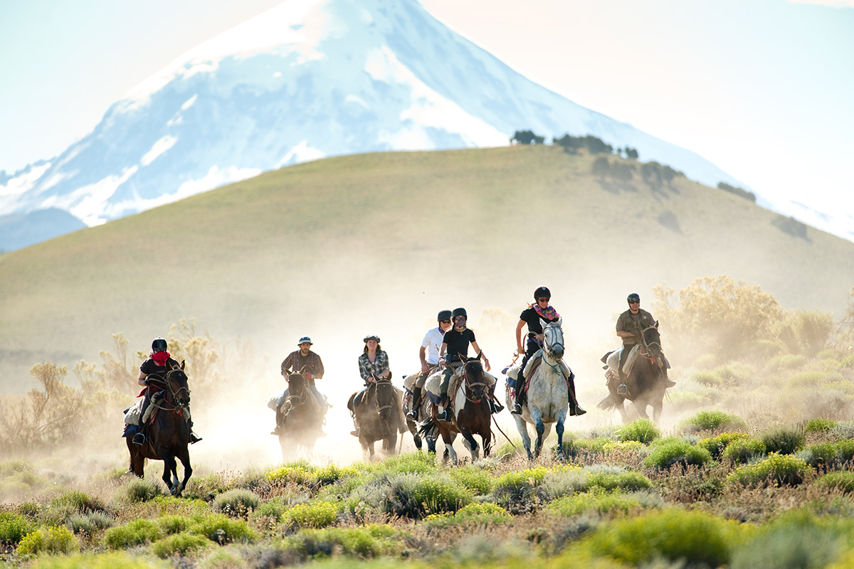 Horse Riding