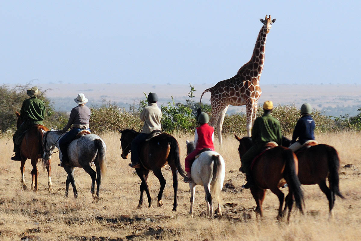 The Best Family Adventures in Kenya
