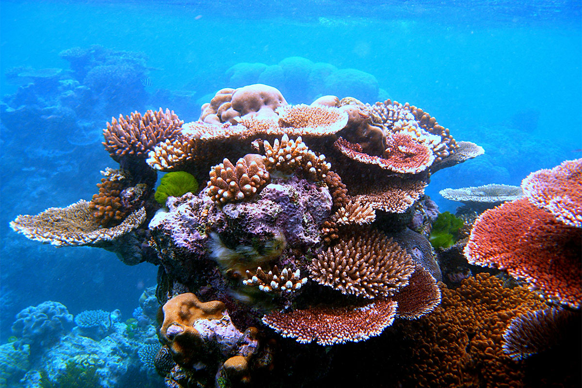 Queensland