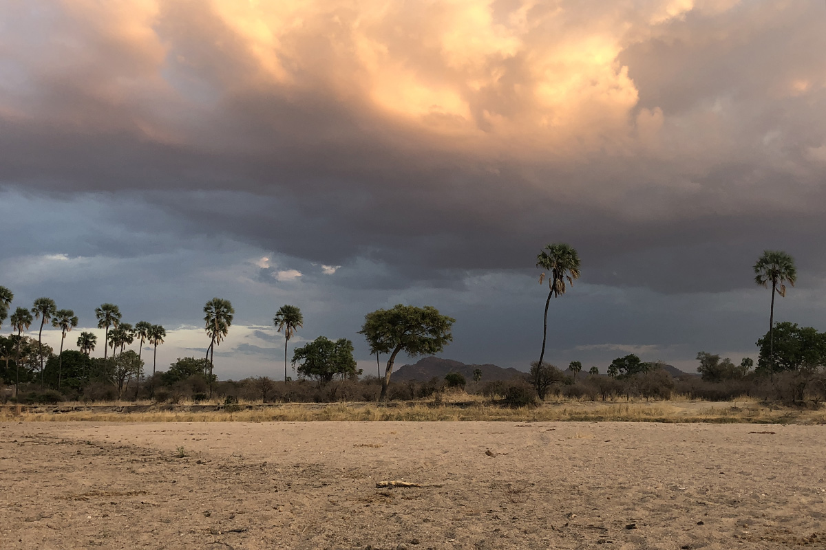 Our favourite places to stay in the north of Ruaha National Park, Tanzania