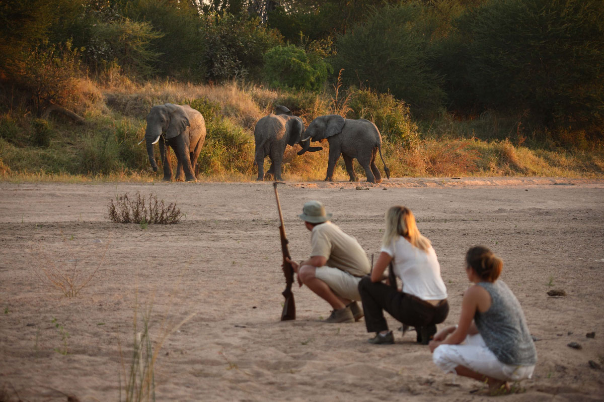 The best bush-and-beach honeymoon in southern Tanzania