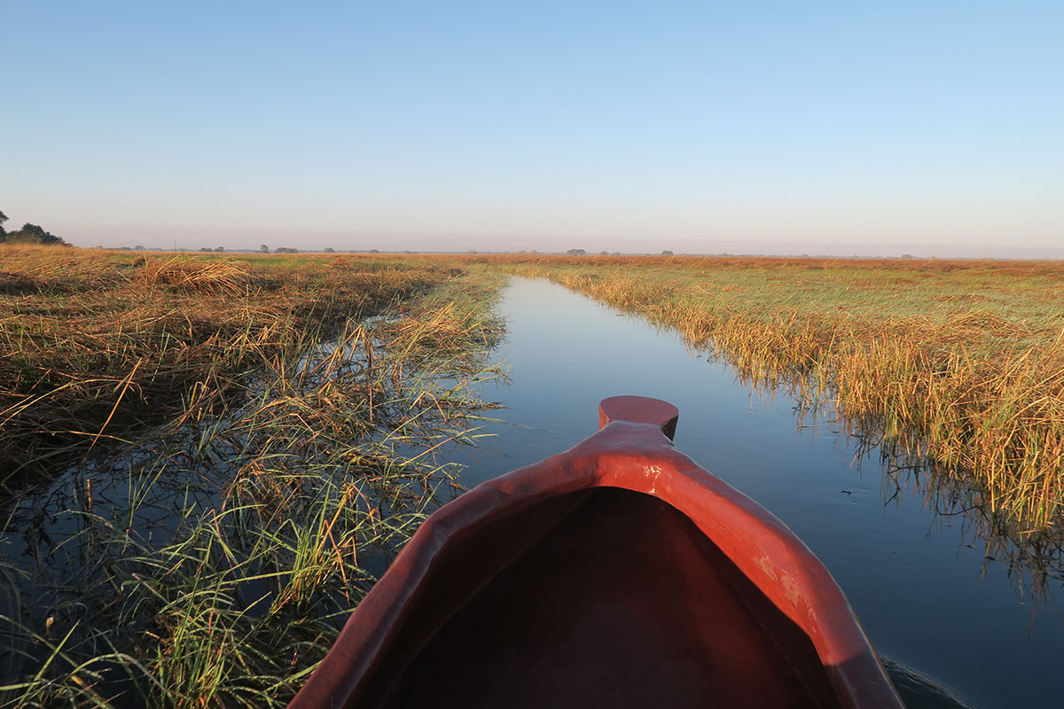 Where to stay in Kafue National Park, Zambia