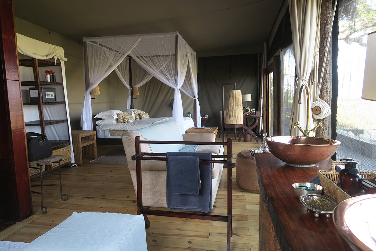 Shumba in the Busanga Plains