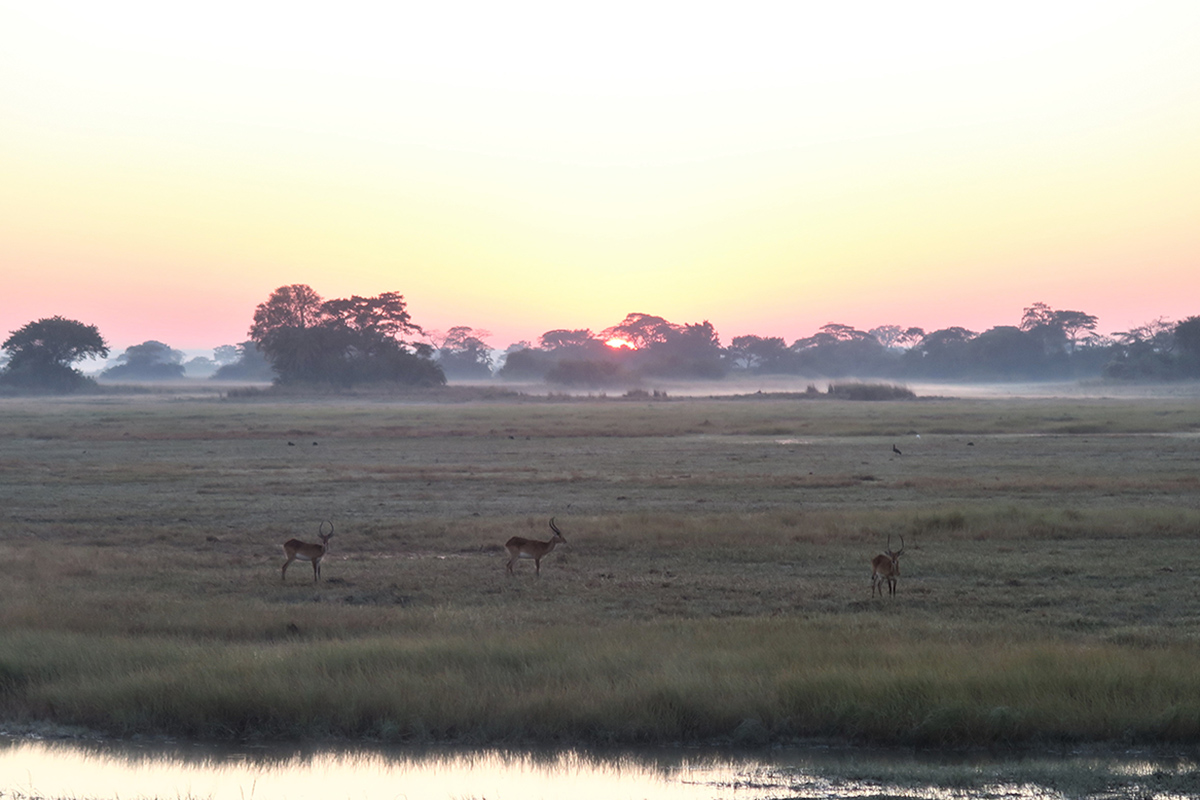 Where to stay in Kafue National Park, Zambia