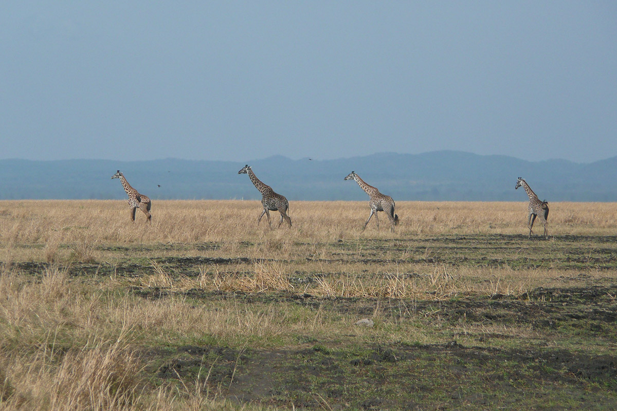 Why should you travel to Tanzania's remote west?