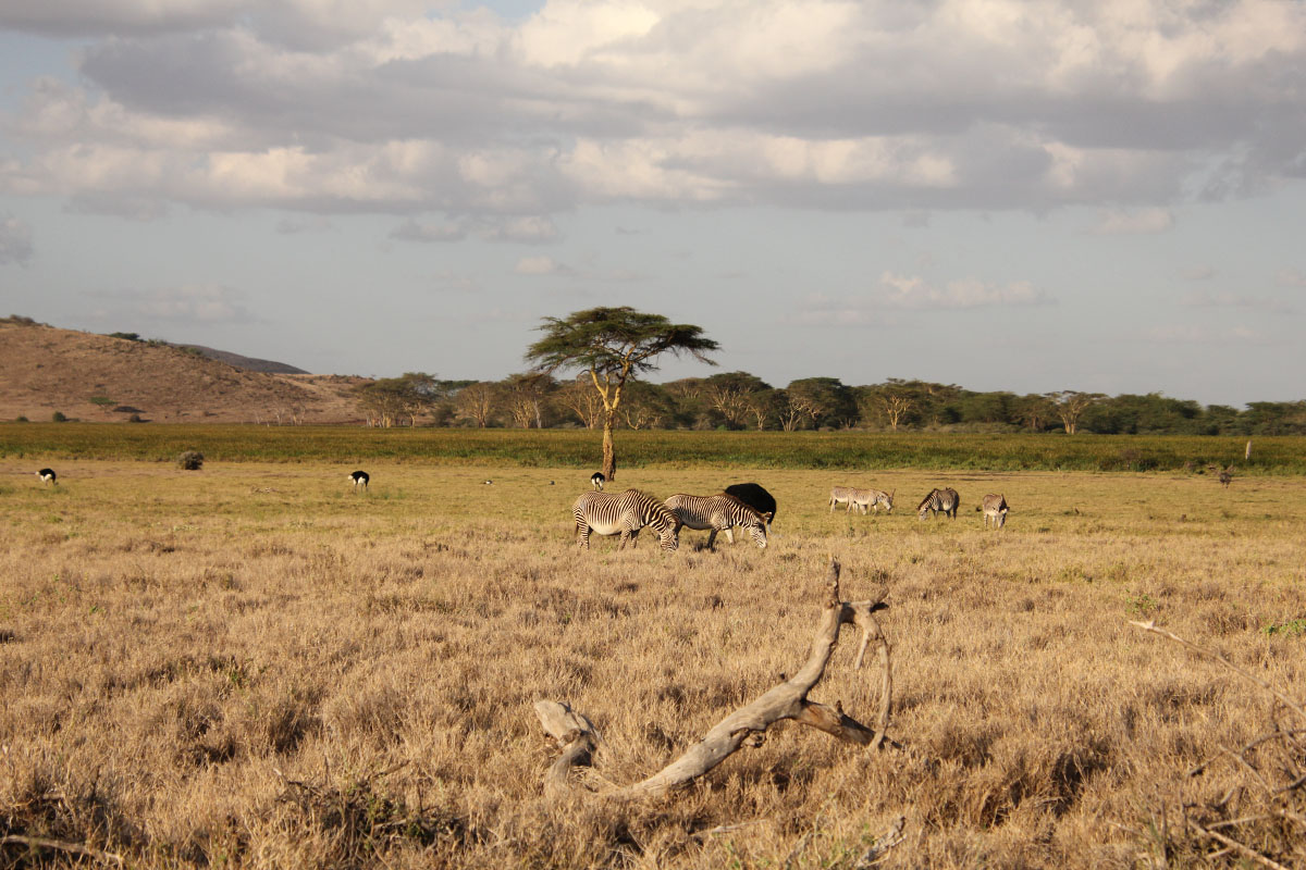 Why I loved Kenya's Laikipia Plateau