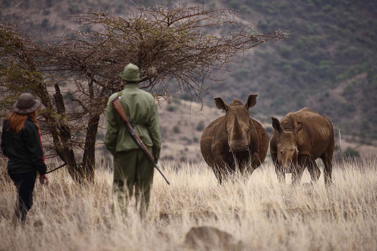 Lewa safari camp Kenya