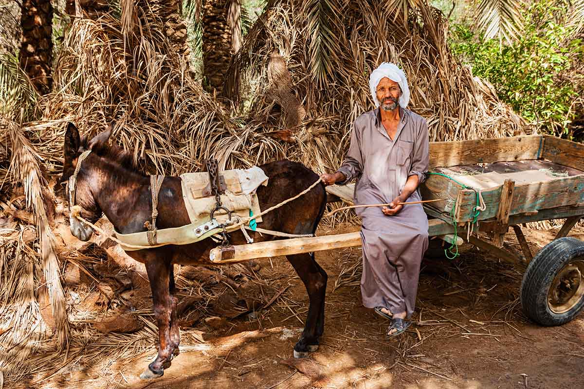 Culture and history cruising the Egyptian Nile