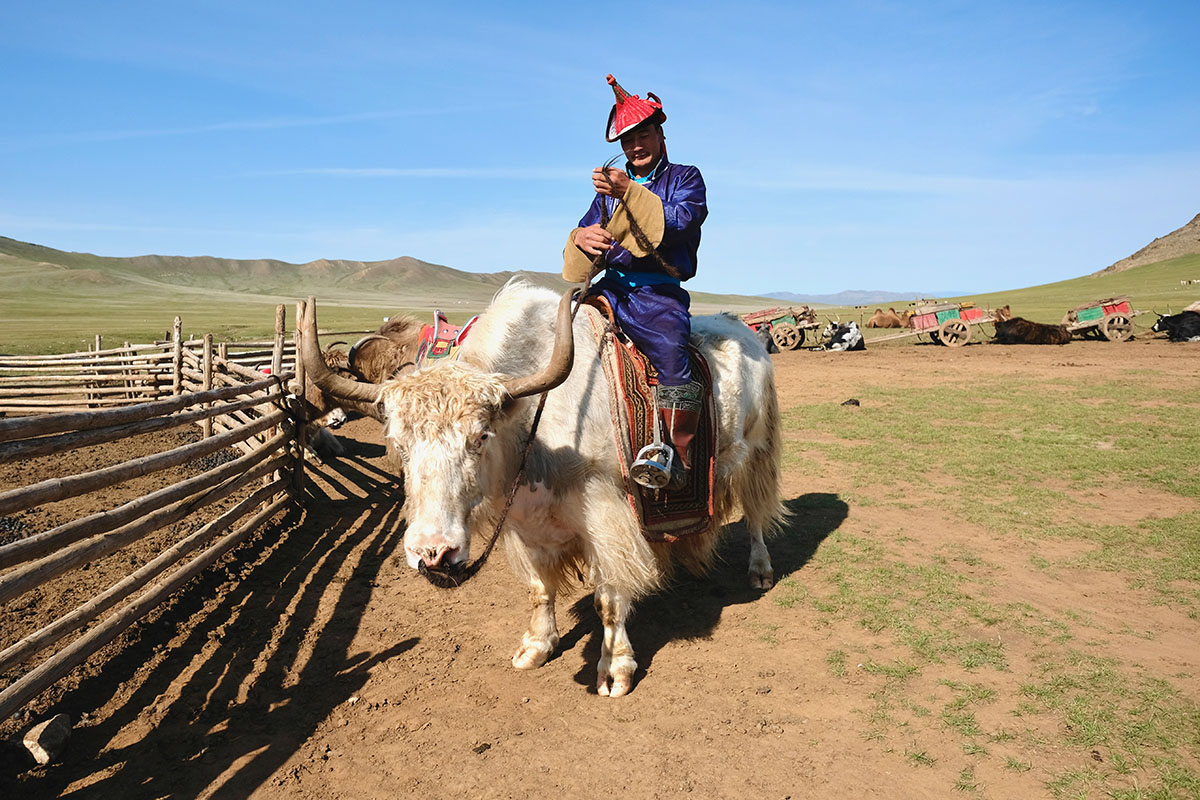 Mongolia Client Story