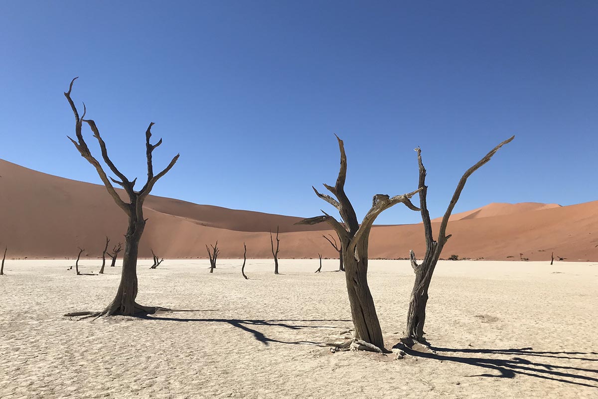 Luxury holiday to Namibia