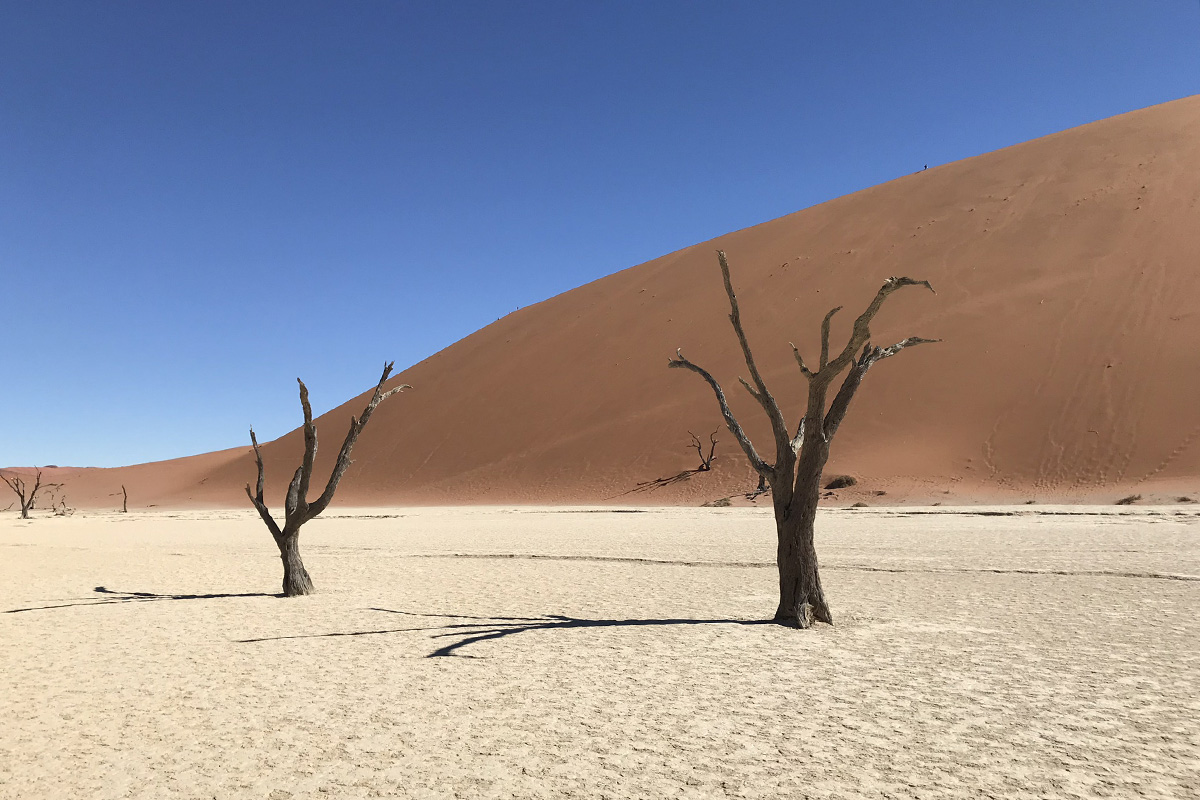 Namibia Desert