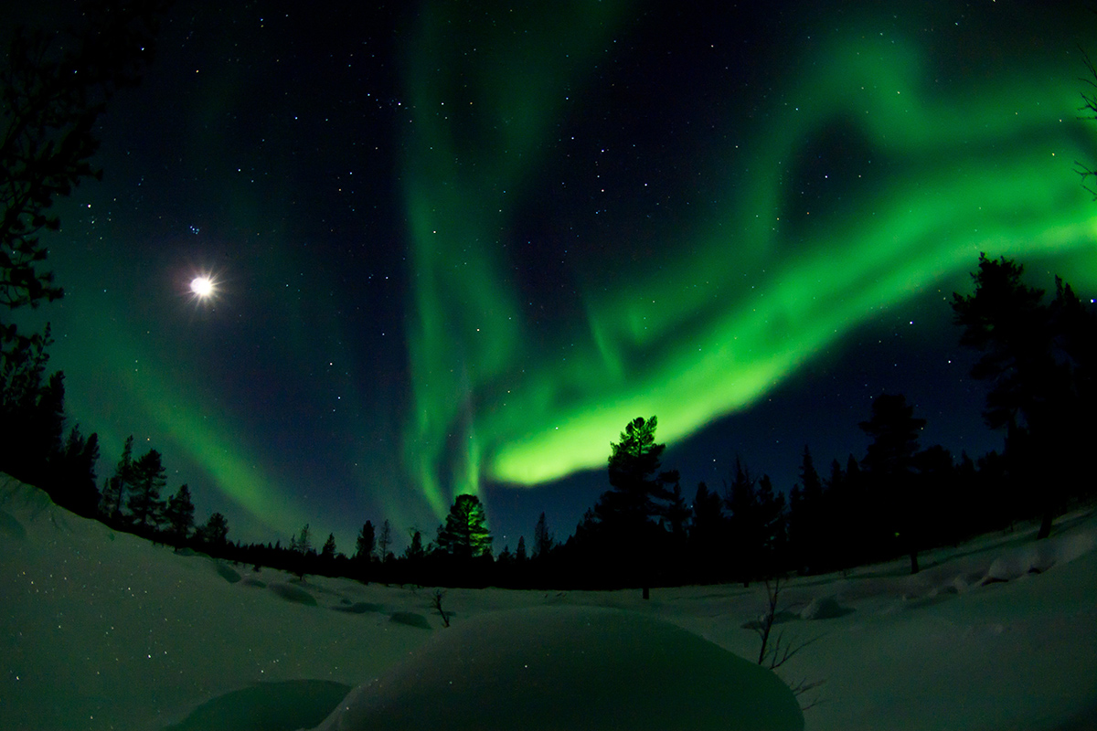 Why you should take your family to Finnish Lapland