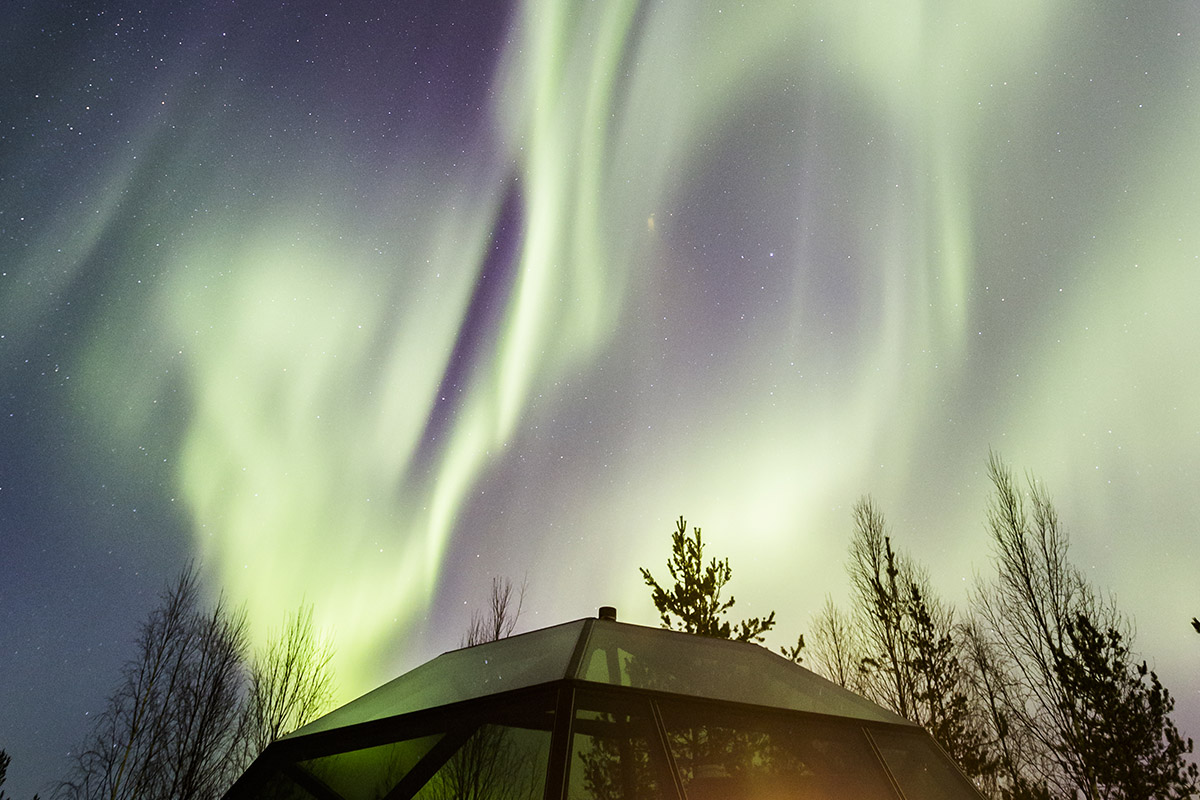 Ten reasons to visit the Arctic with cazenove+loyd