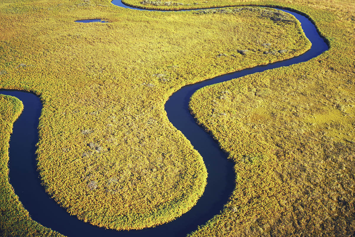 Okavango delta safaris in Botswana