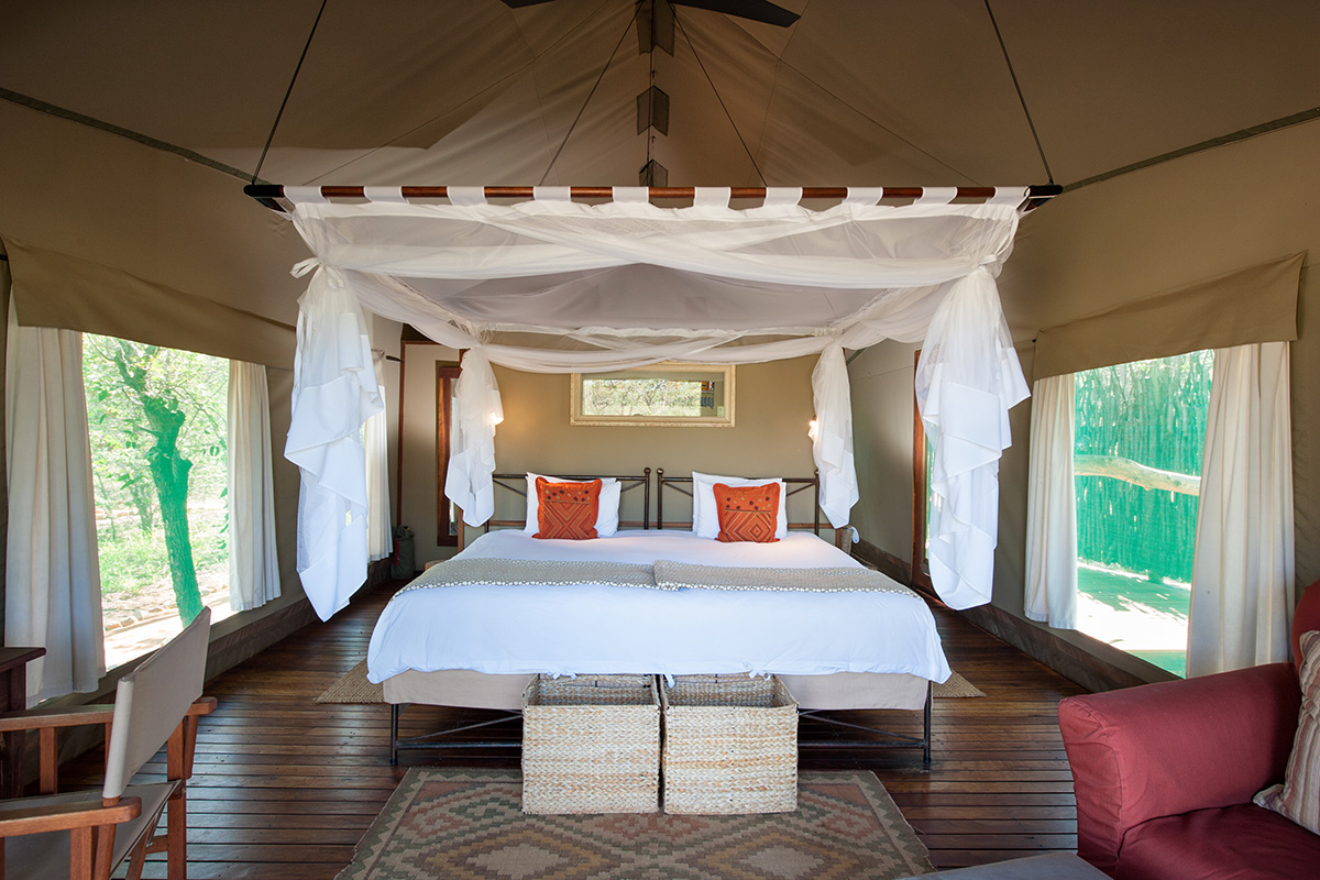 Ongava Safari Experience