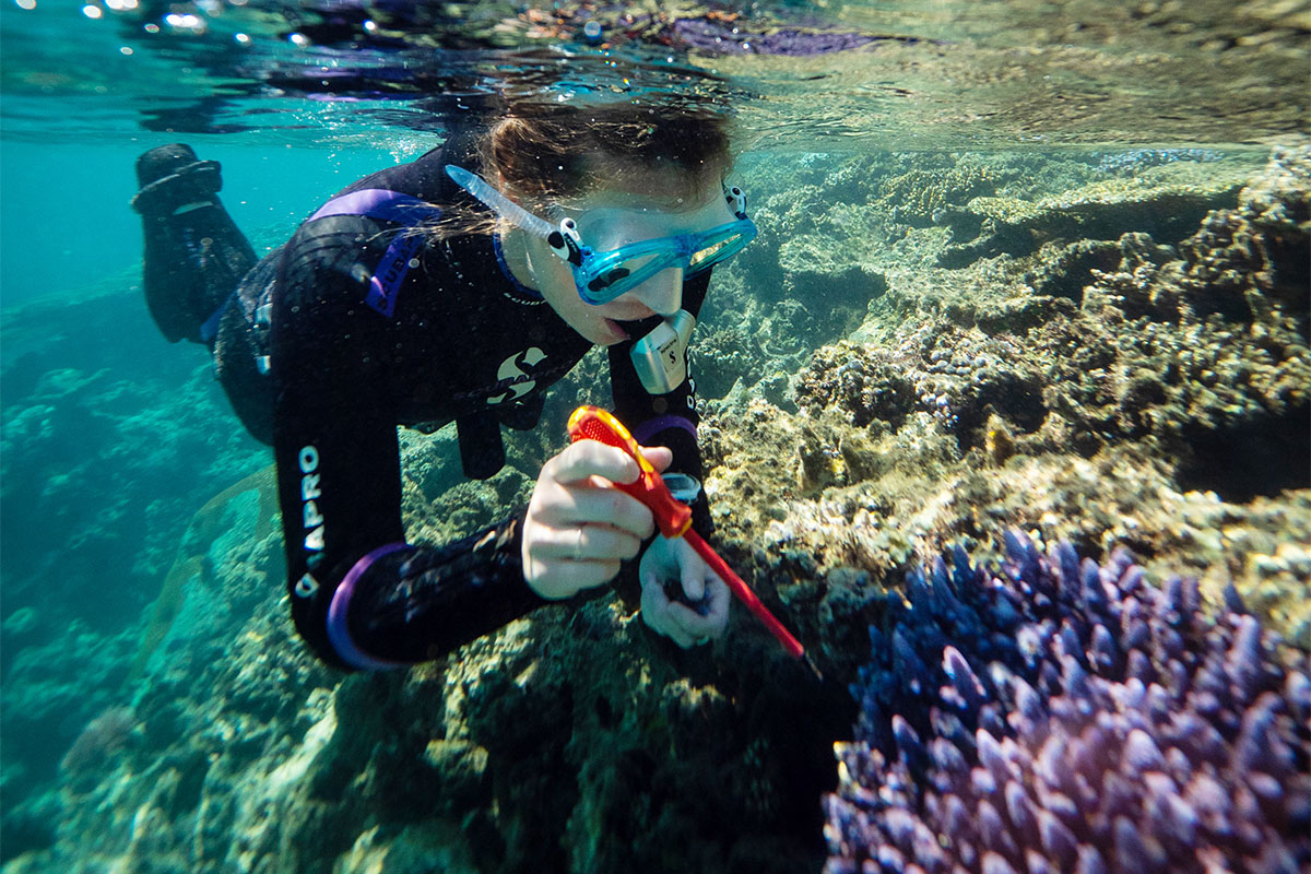 Our favourite retreats in the Pacific Islands