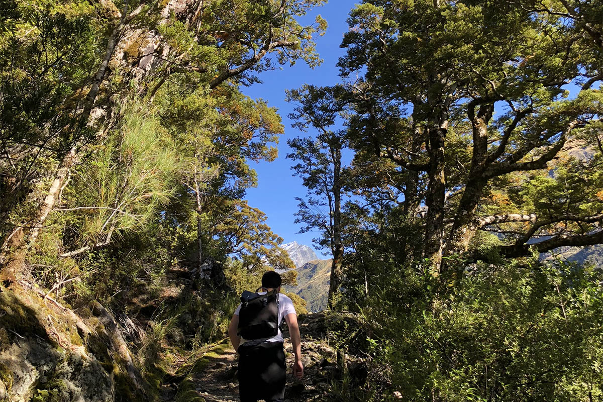 Penny Mt Aspiring
