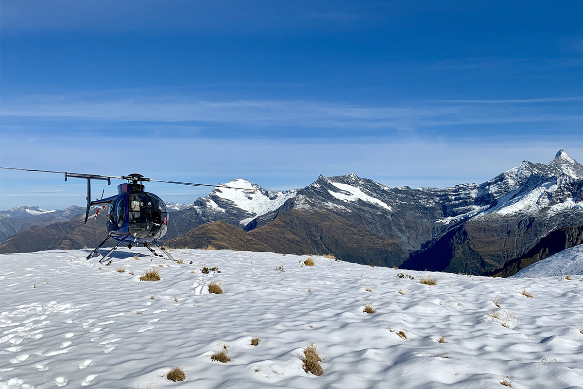 Penny in Mt Aspiring
