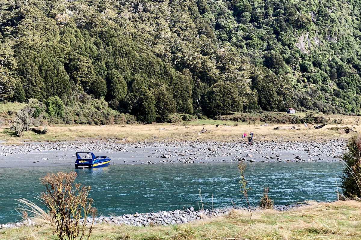 Penny in Mount Aspiring NP