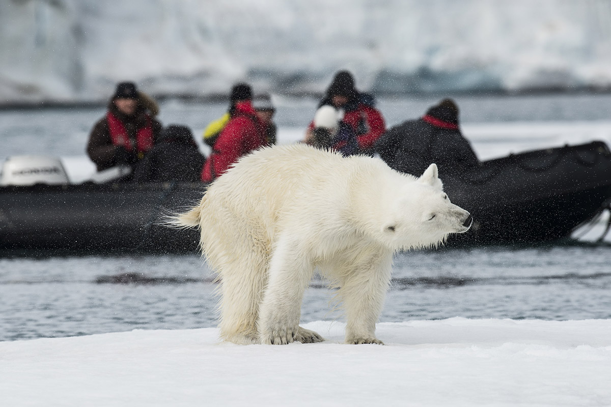 The ultimate 12-day adventure in The Arctic