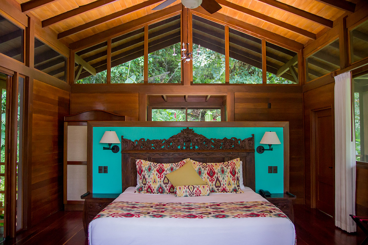 The best places to spot Costa Rica's amazing wildlife