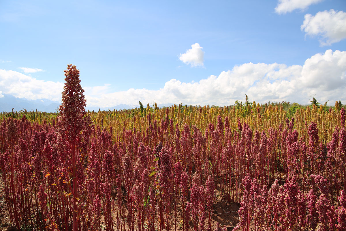 Four of the best adventures in the Sacred Valley