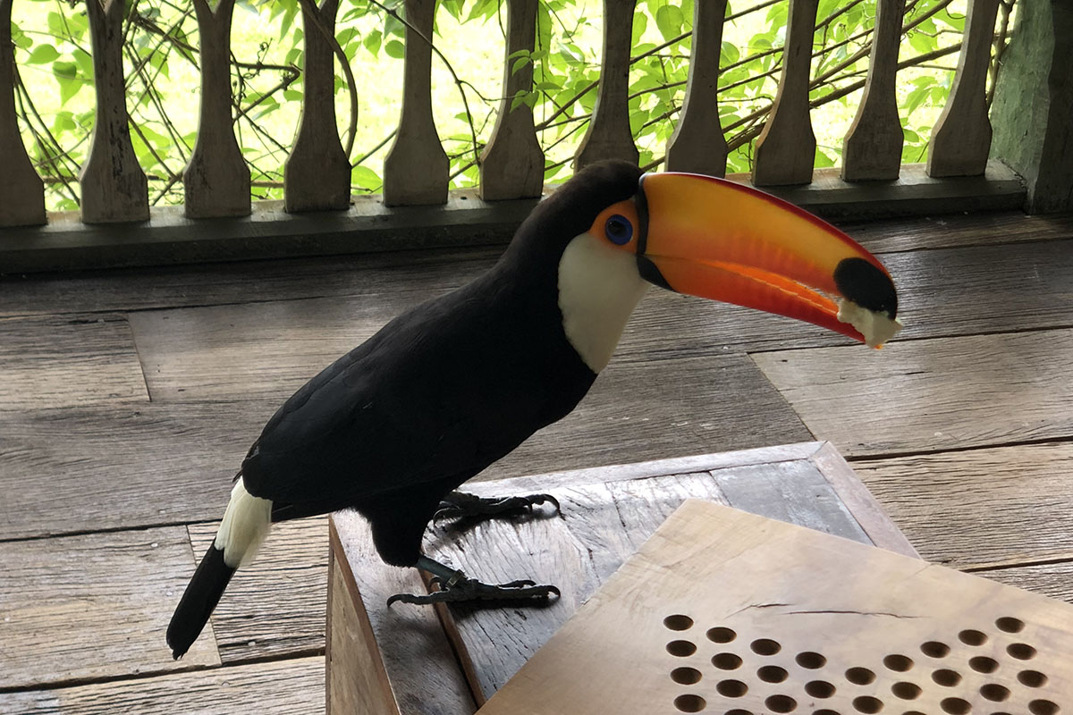 Why should you visit Reserva do Ibitipoca?