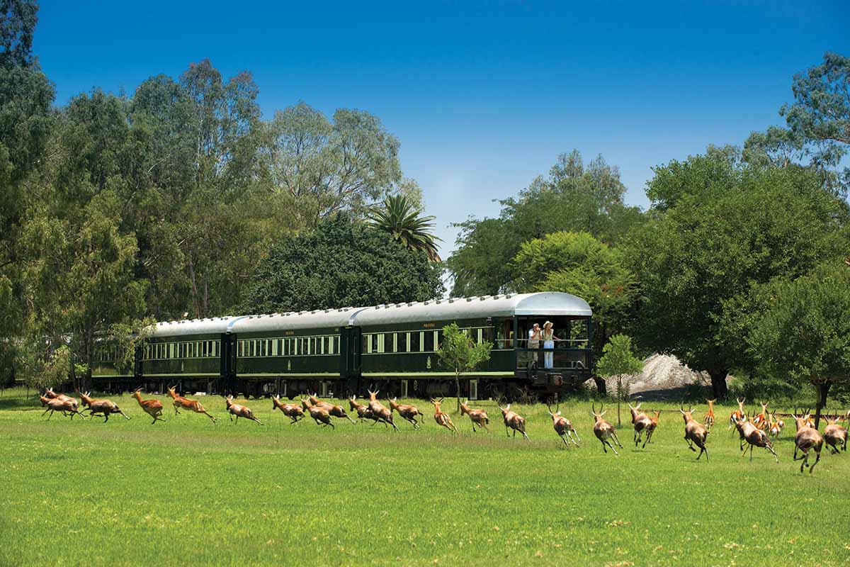Luxury small group trip to South Africa